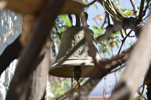 爱游戏 电竞-NBA球员转会市场动态，nba转会名单