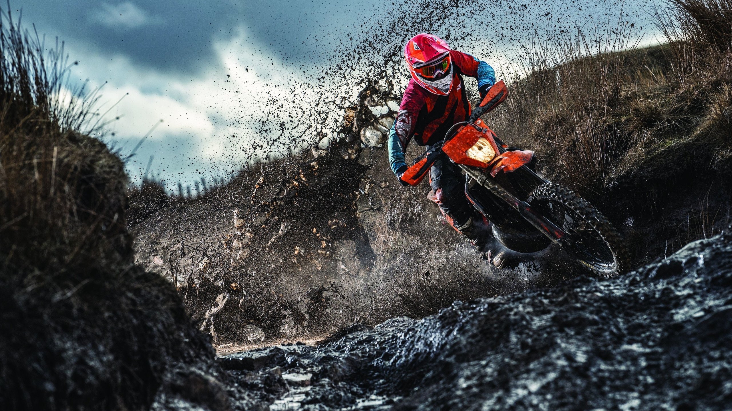 波兰女足联赛冠军以出色表现征服观众，波兰足球队队员