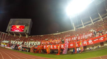 爱游戏中国官方网站平台-场馆设施翻新完成比赛场地改造计划推进，场馆设计方案